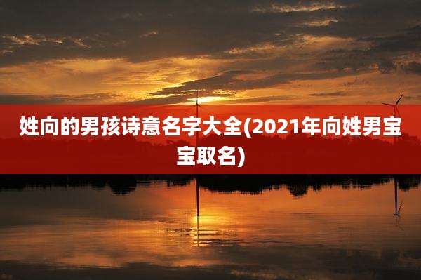姓向的男孩诗意名字大全(2021年向姓男宝宝取名)