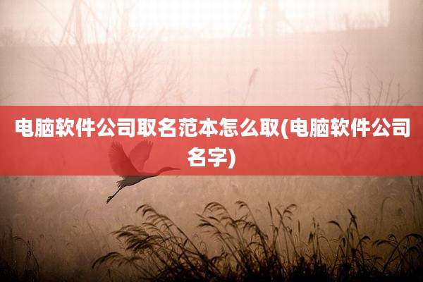 电脑软件公司取名范本怎么取(电脑软件公司名字)