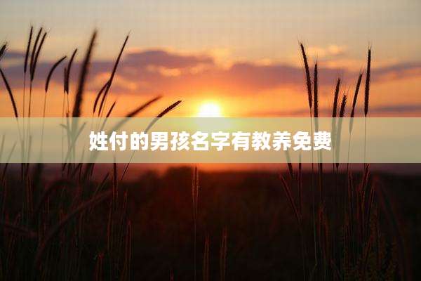 姓付的男孩名字有教养免费