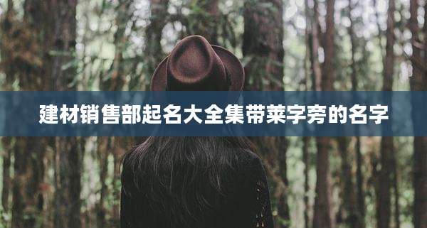 建材销售部起名大全集带莱字旁的名字