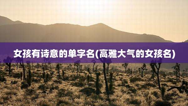 女孩有诗意的单字名(高雅大气的女孩名)