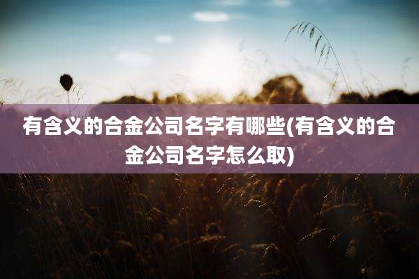有含义的合金公司名字有哪些(有含义的合金公司名字怎么取)