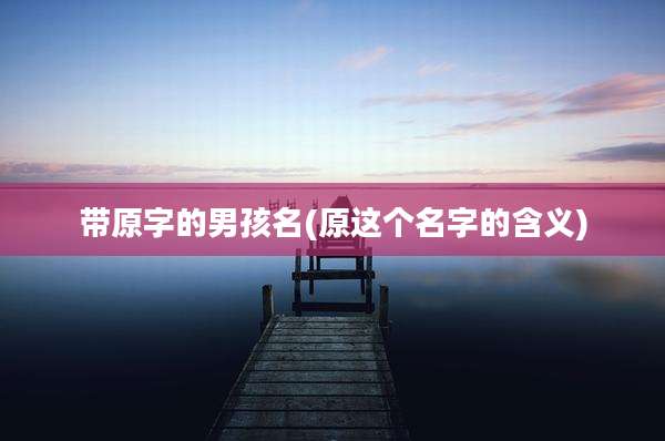 带原字的男孩名(原这个名字的含义)