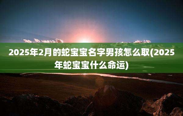 2025年2月的蛇宝宝名字男孩怎么取(2025年蛇宝宝什么命运)
