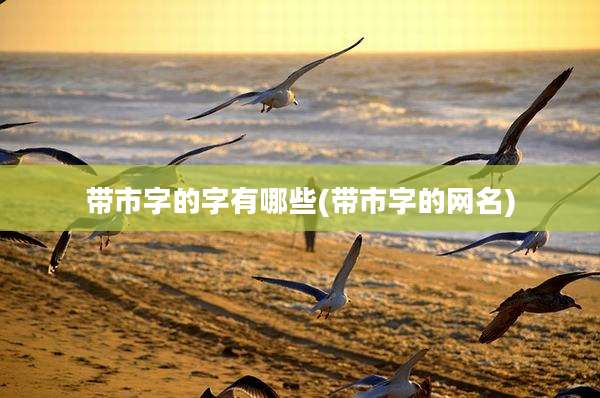 带市字的字有哪些(带市字的网名)