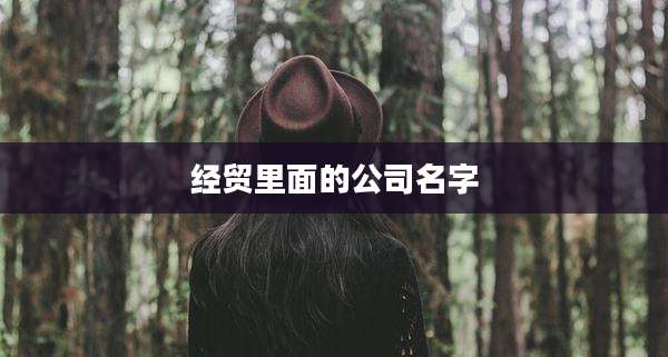 经贸里面的公司名字