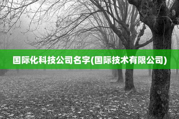 国际化科技公司名字(国际技术有限公司)