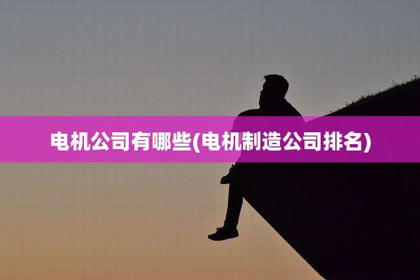 电机公司有哪些(电机制造公司排名)