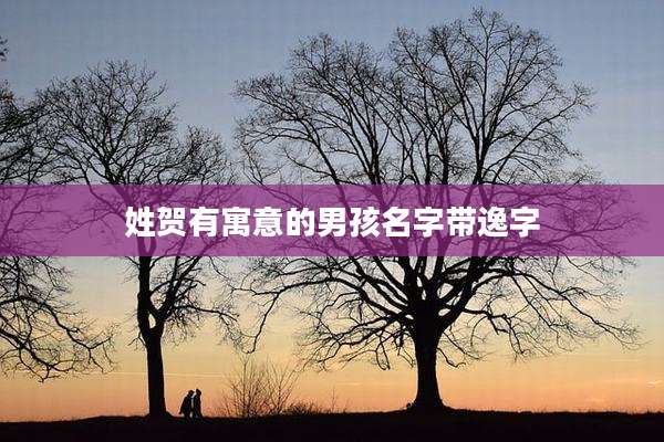 姓贺有寓意的男孩名字带逸字