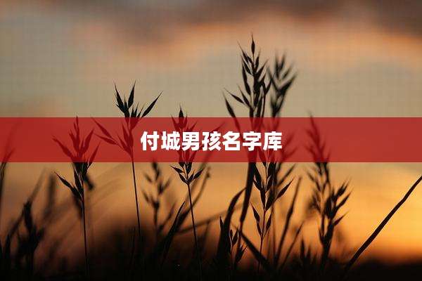 付城男孩名字库