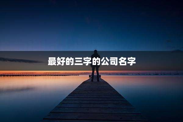 最好的三字的公司名字