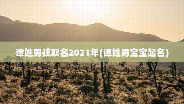 谭姓男孩取名2021年(谭姓男宝宝起名)
