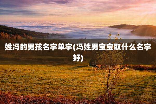 姓冯的男孩名字单字(冯姓男宝宝取什么名字好)