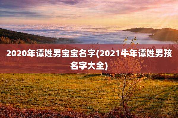 2020年谭姓男宝宝名字(2021牛年谭姓男孩名字大全)