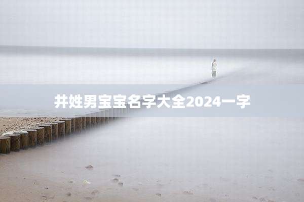 井姓男宝宝名字大全2024一字
