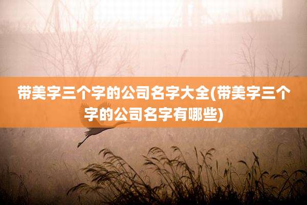 带美字三个字的公司名字大全(带美字三个字的公司名字有哪些)