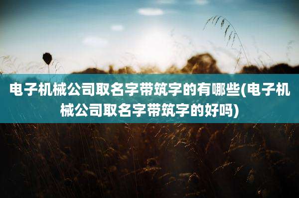 电子机械公司取名字带筑字的有哪些(电子机械公司取名字带筑字的好吗)