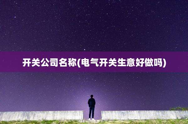 开关公司名称(电气开关生意好做吗)