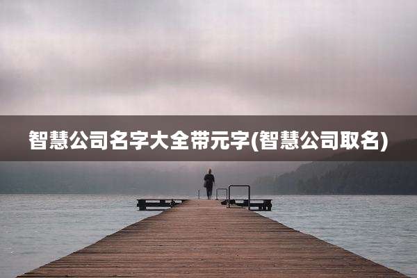 智慧公司名字大全带元字(智慧公司取名)