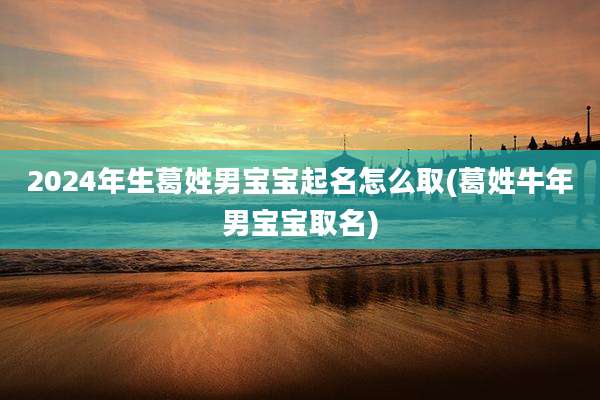 2024年生葛姓男宝宝起名怎么取(葛姓牛年男宝宝取名)