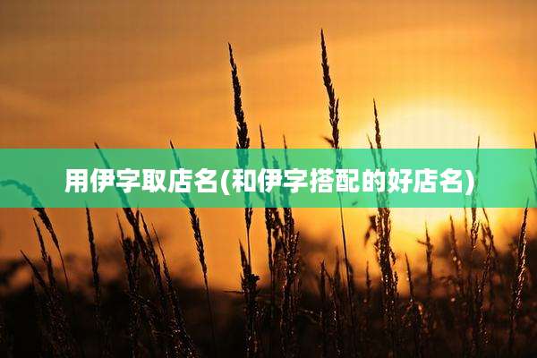 用伊字取店名(和伊字搭配的好店名)