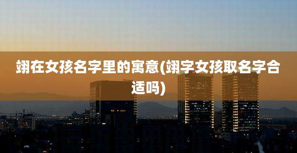 翊在女孩名字里的寓意(翊字女孩取名字合适吗)