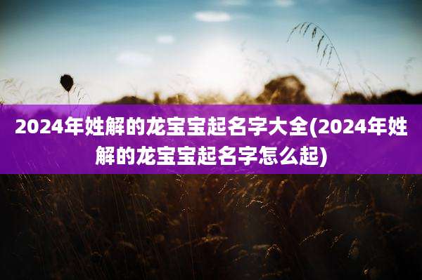 2024年姓解的龙宝宝起名字大全(2024年姓解的龙宝宝起名字怎么起)