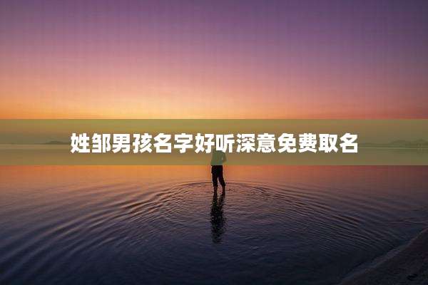 姓邹男孩名字好听深意免费取名