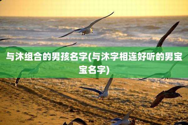 与沐组合的男孩名字(与沐字相连好听的男宝宝名字)