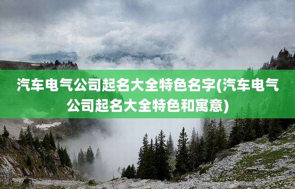 汽车电气公司起名大全特色名字(汽车电气公司起名大全特色和寓意)