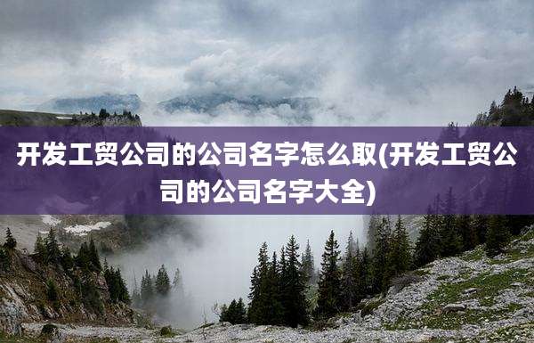 开发工贸公司的公司名字怎么取(开发工贸公司的公司名字大全)