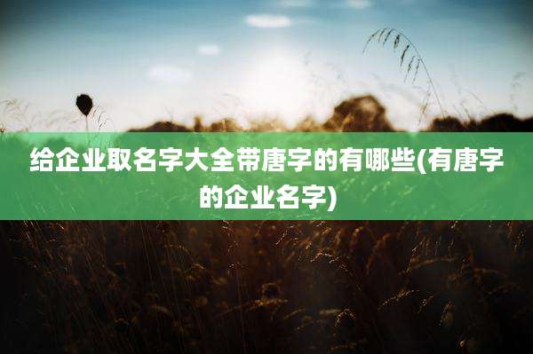 给企业取名字大全带唐字的有哪些(有唐字的企业名字)