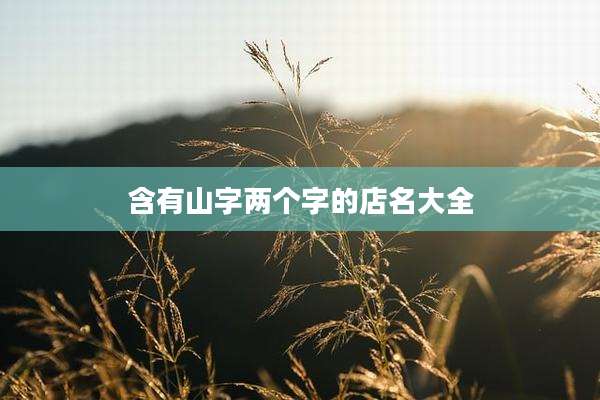 含有山字两个字的店名大全