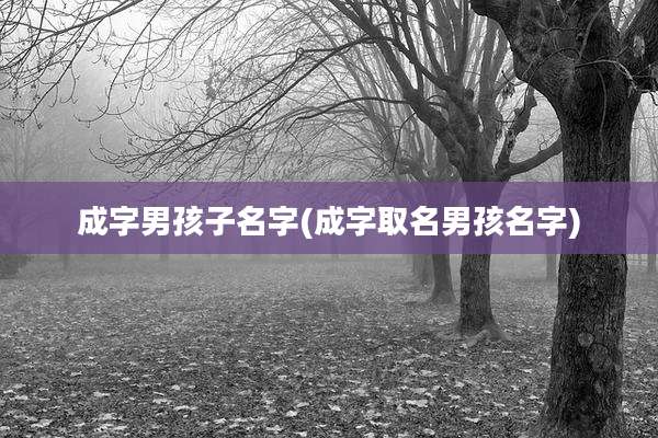 成字男孩子名字(成字取名男孩名字)