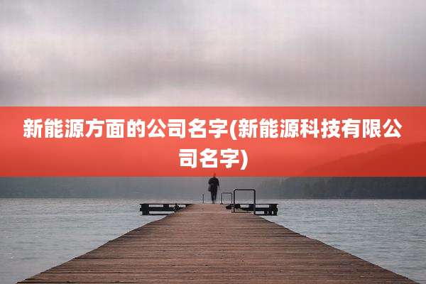 新能源方面的公司名字(新能源科技有限公司名字)