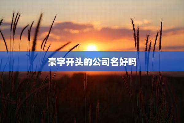 豪字开头的公司名好吗