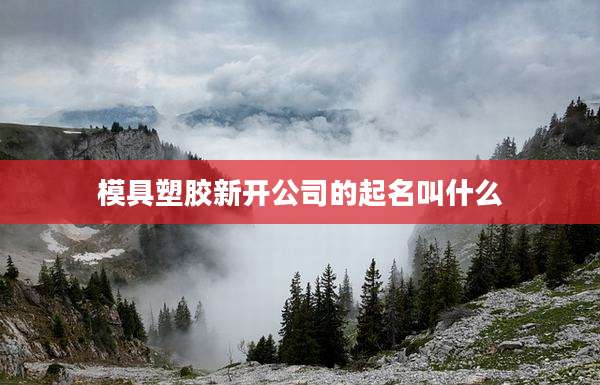 模具塑胶新开公司的起名叫什么