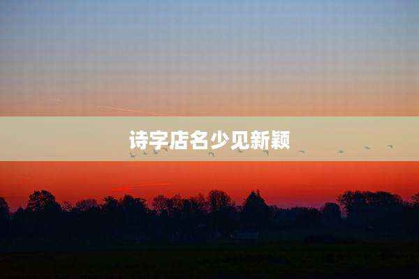 诗字店名少见新颖