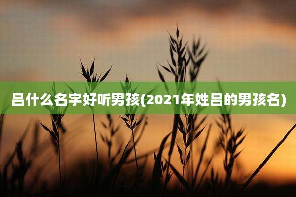 吕什么名字好听男孩(2021年姓吕的男孩名)