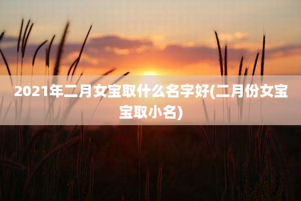 2021年二月女宝取什么名字好(二月份女宝宝取小名)