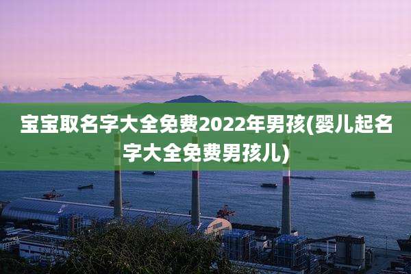 宝宝取名字大全免费2022年男孩(婴儿起名字大全免费男孩儿)