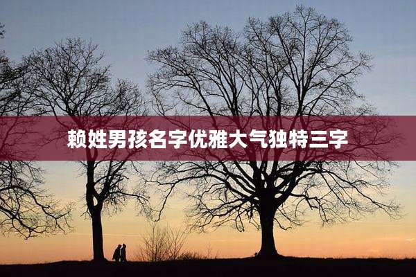 赖姓男孩名字优雅大气独特三字