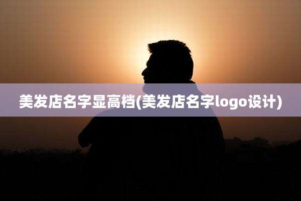 美发店名字显高档(美发店名字logo设计)