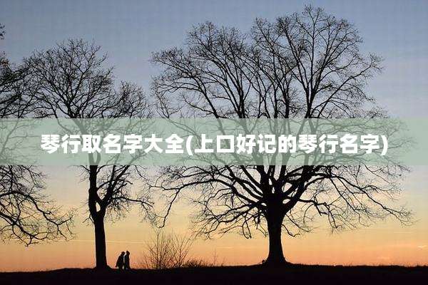 琴行取名字大全(上口好记的琴行名字)