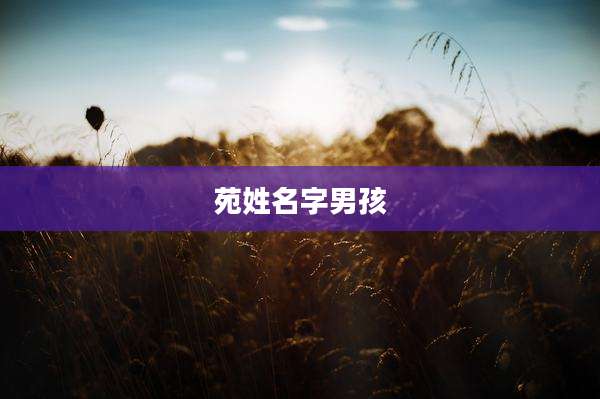 苑姓名字男孩