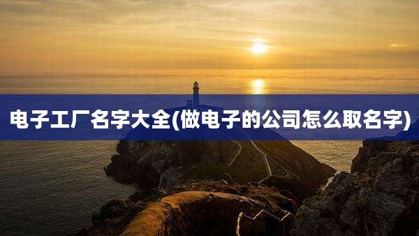 电子工厂名字大全(做电子的公司怎么取名字)