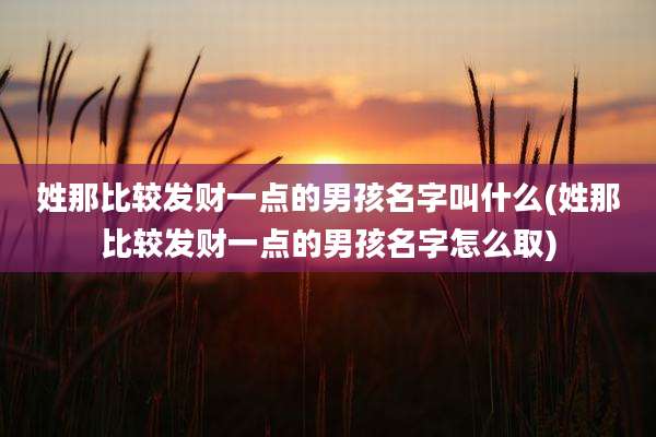 姓那比较发财一点的男孩名字叫什么(姓那比较发财一点的男孩名字怎么取)