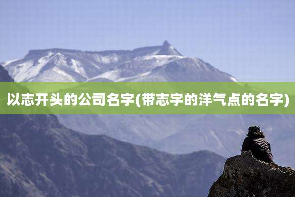 以志开头的公司名字(带志字的洋气点的名字)