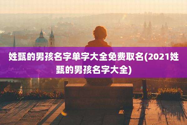 姓甄的男孩名字单字大全免费取名(2021姓甄的男孩名字大全)