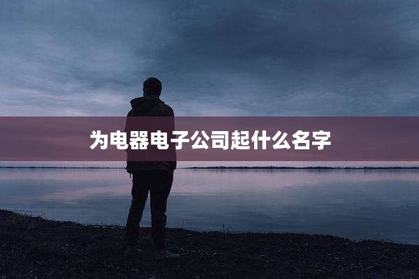 为电器电子公司起什么名字